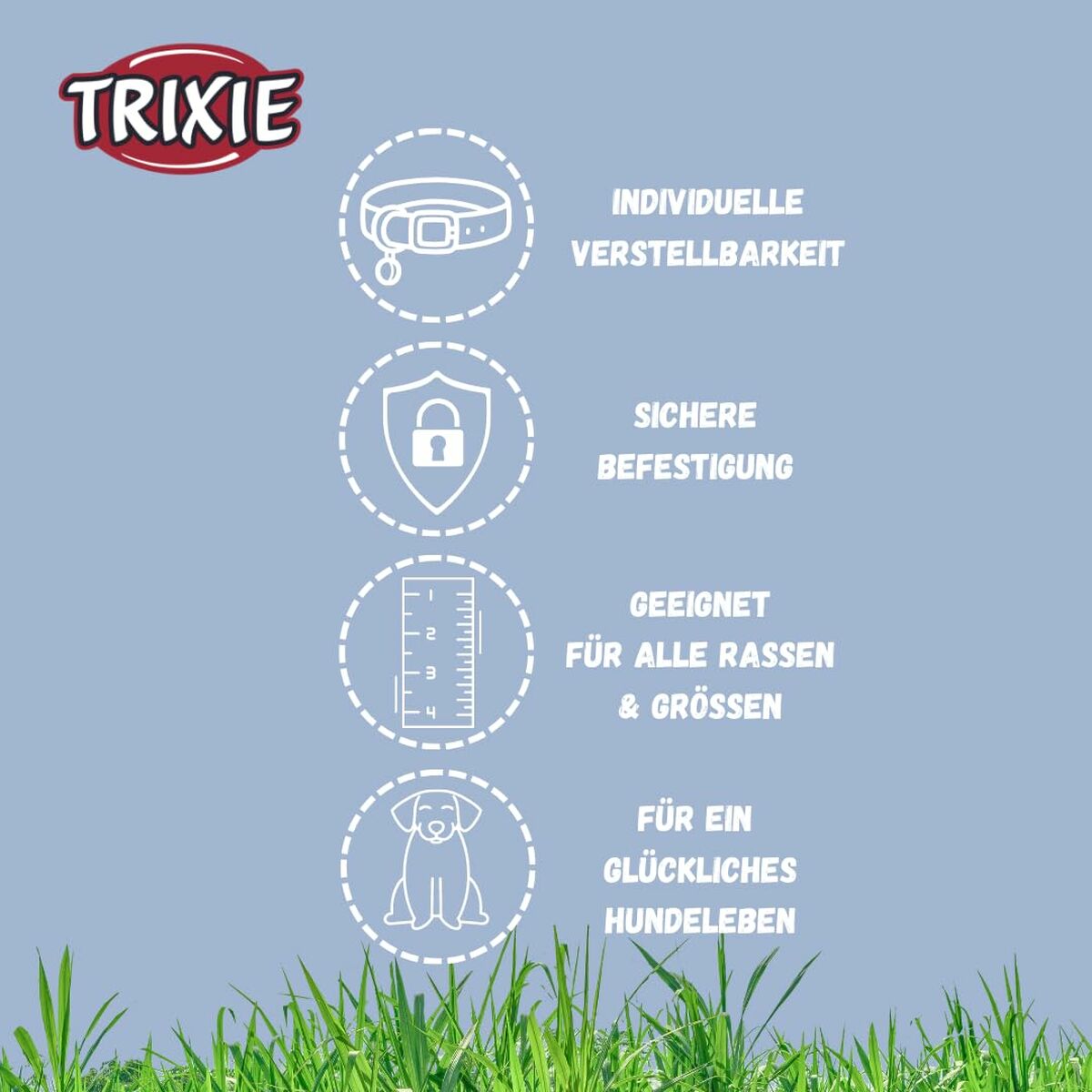 V5H9C73033A6429BA2DD49A629F3399B56FR5330513P6