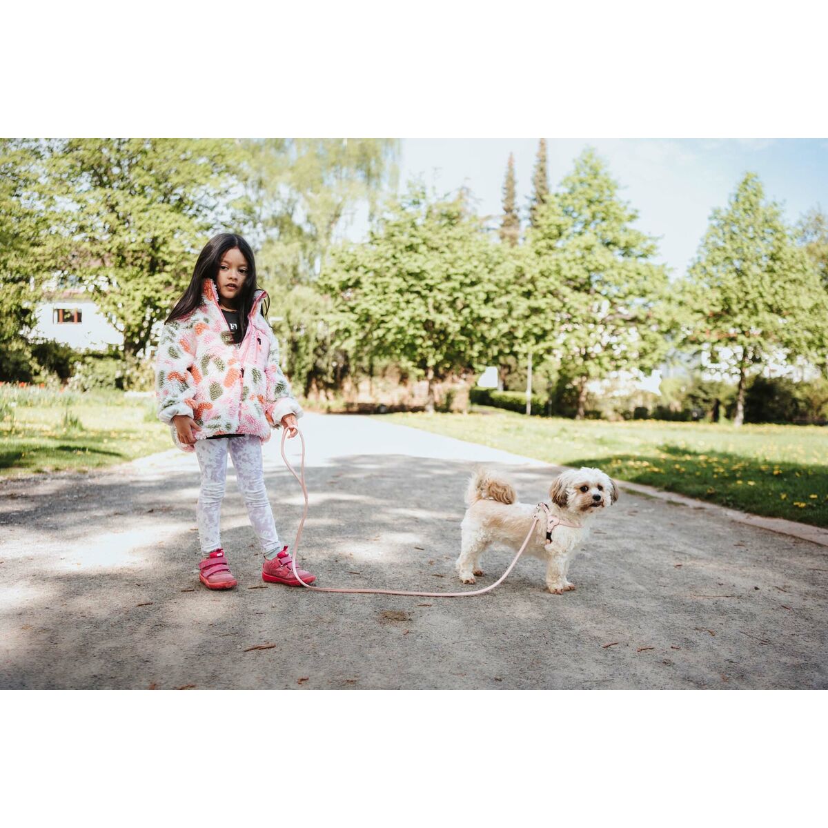 V5H3D2B7CD03C0828D13AA2369711773690R5575597P5