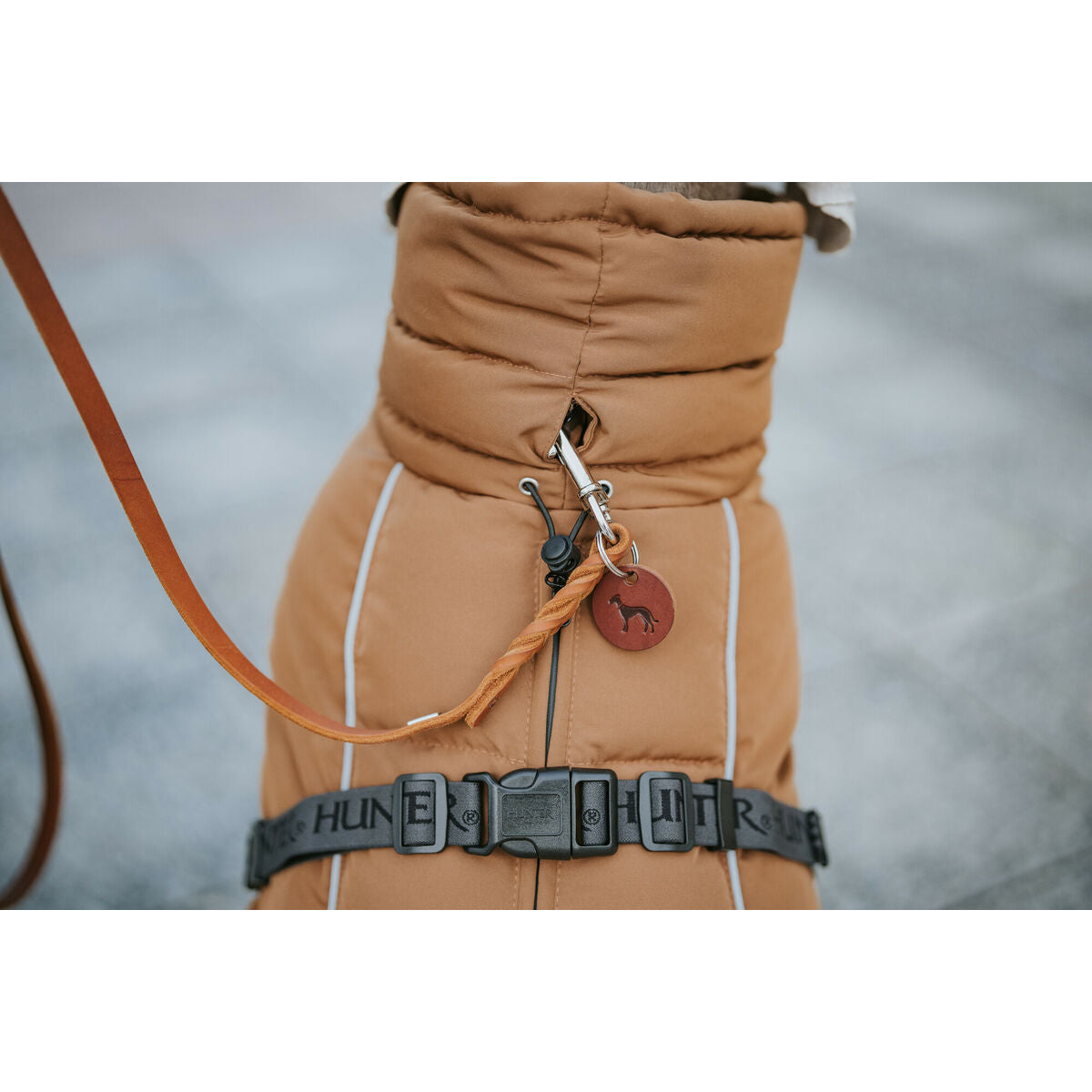 V5HD596E9D5E739272E3454A480493390ADR5575942P2