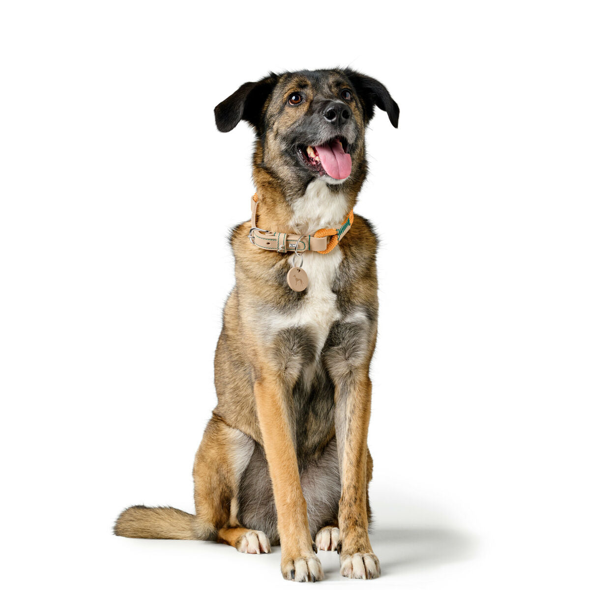 V5HA0738E7F14F181368C6B67514A894858R5575462P3