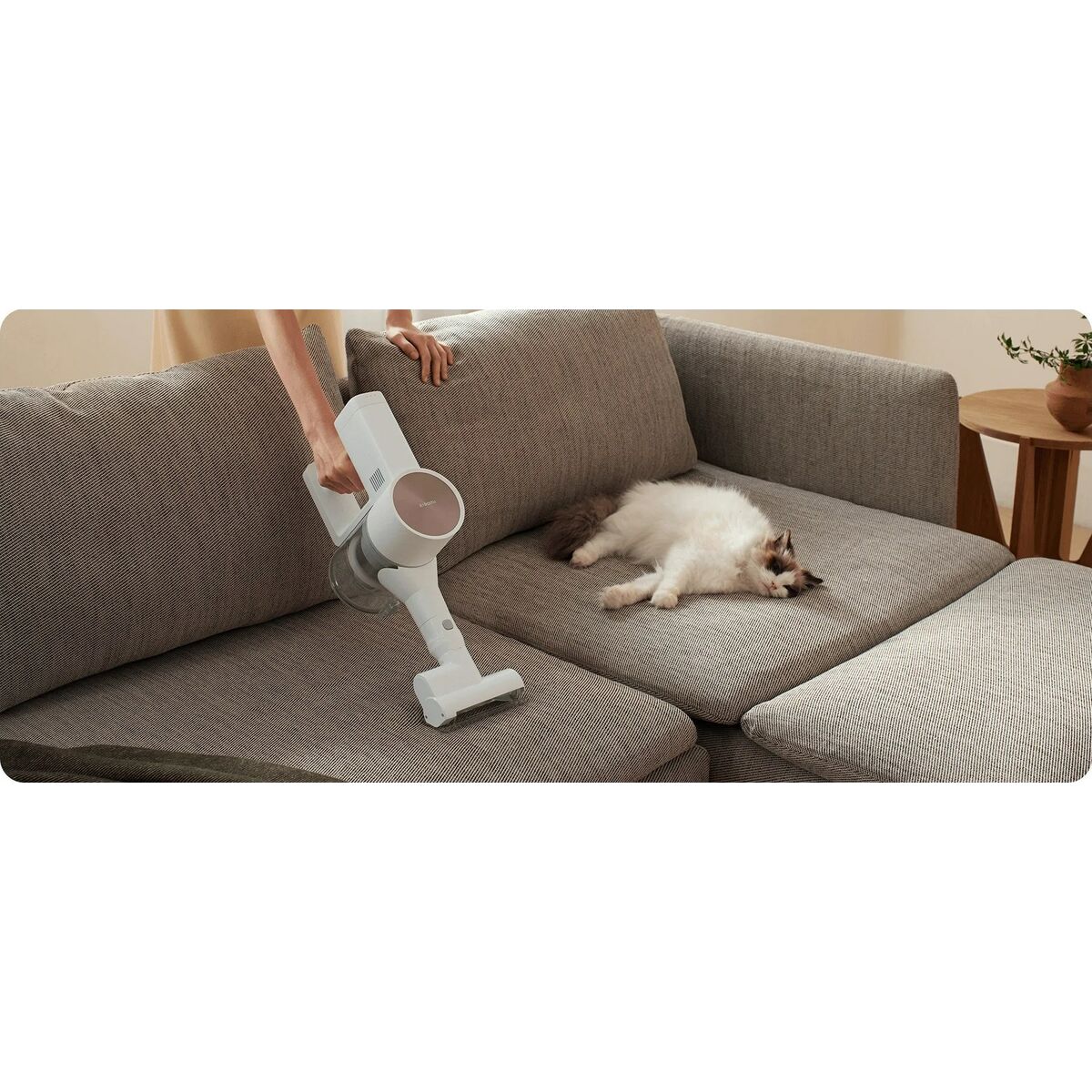 V5H5E89011D6E5A4BE8775C6670E1332A4FR5629613P7