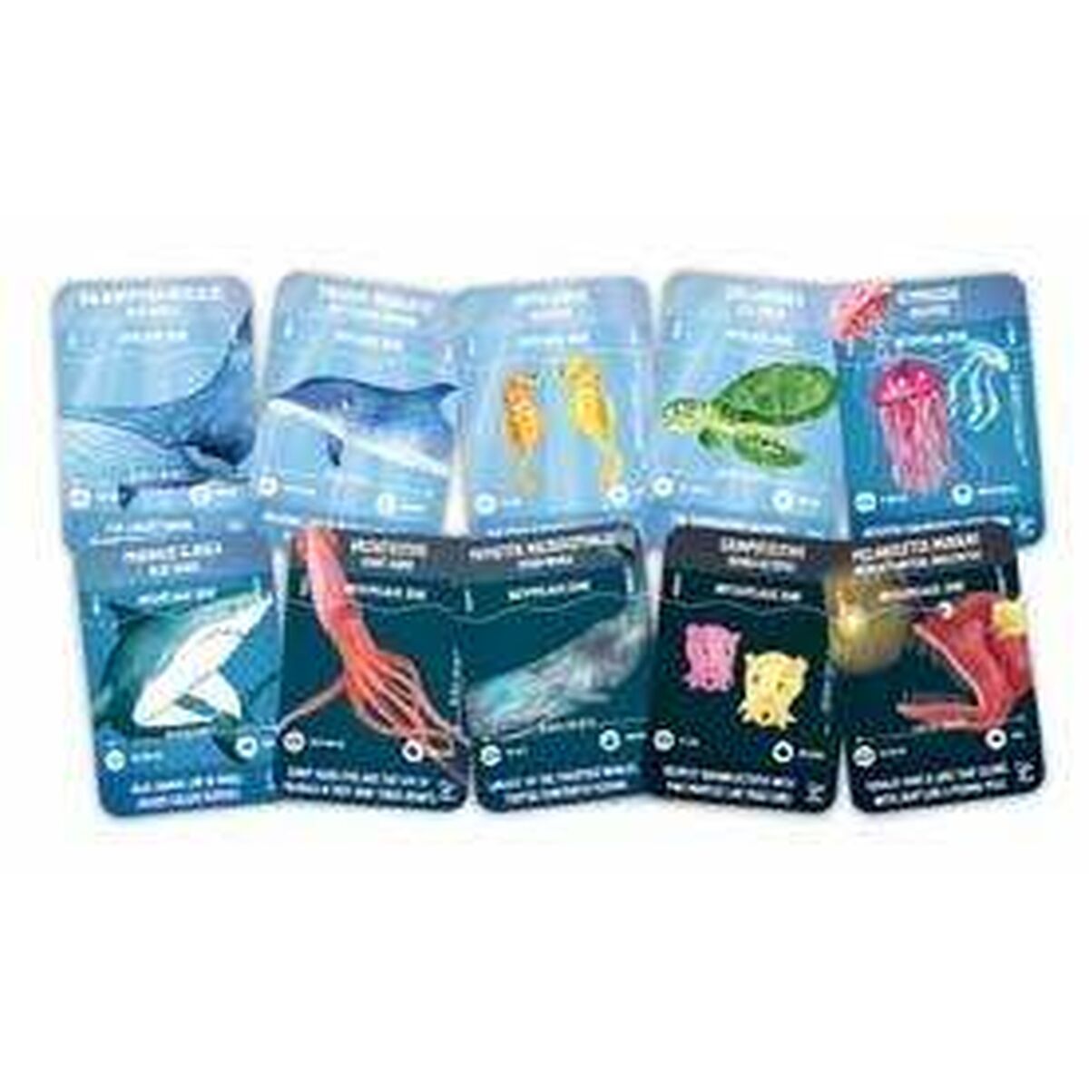 V7H3A1880034FAB530569C67C5A60B198A8R5269451P2