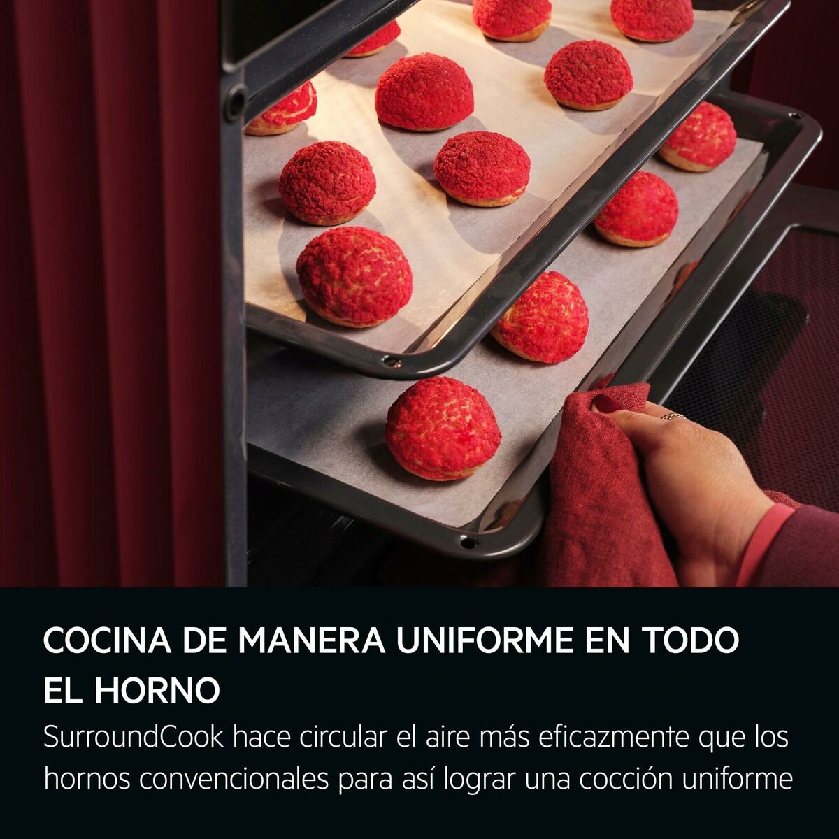 V2H8AF5ED757E554944F966C45DD132E23ER6712794P4