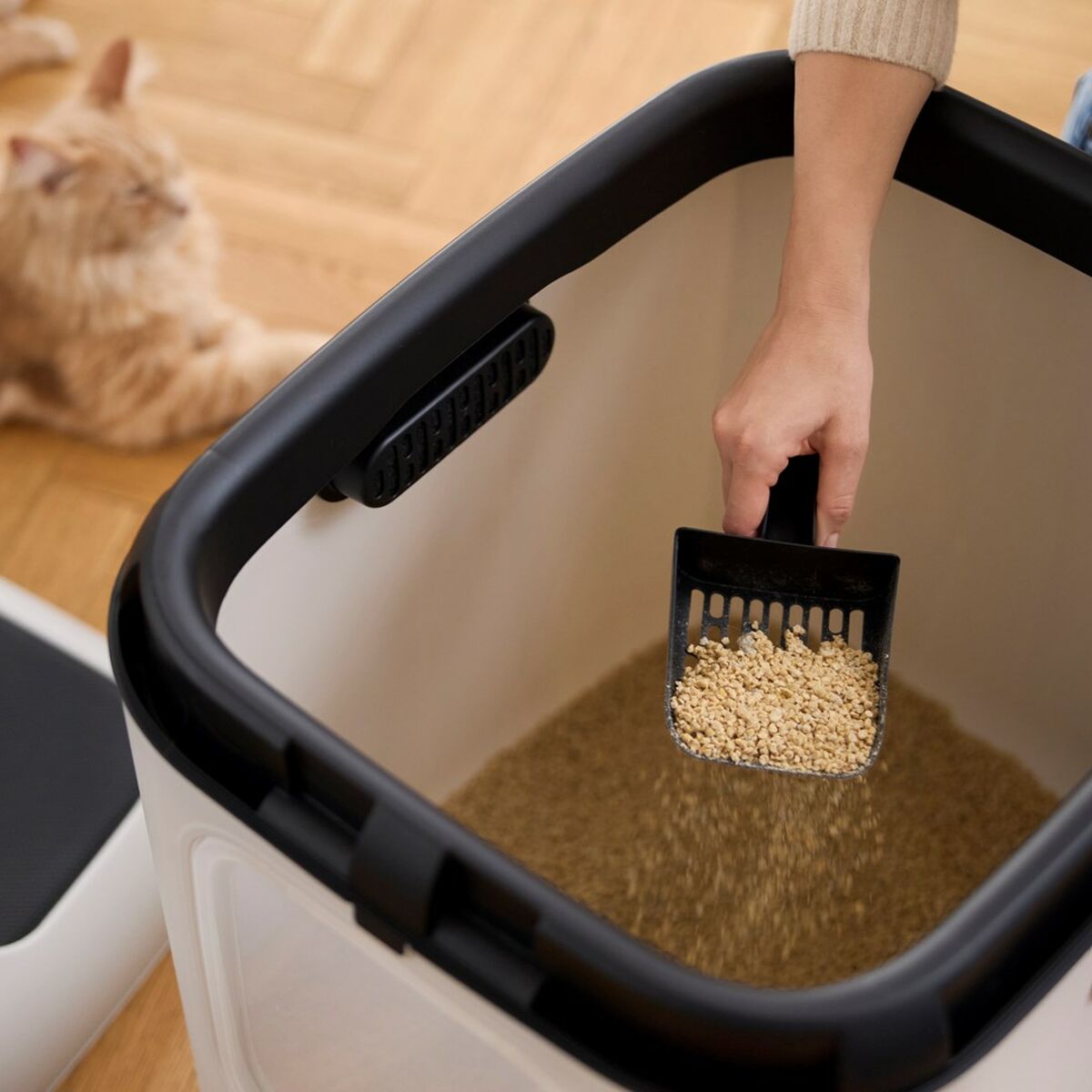 V5HBE2C3BCE5AB134103BA55AE7D326D6BER5624130P6