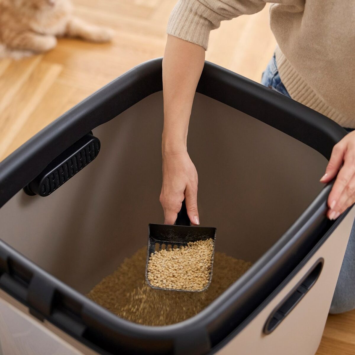 V5H6B8DBD50255CD097A3EB9475394E0493R5624216P5