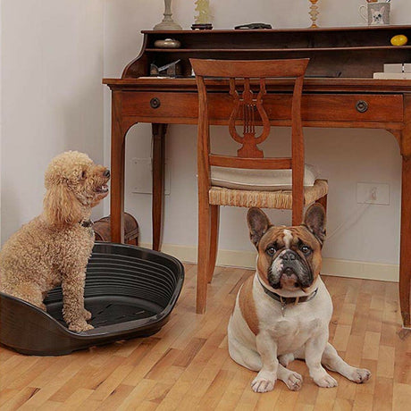 V6H7C7EEC30D3AED769DB1B29FB3EF1B71FR4558507P6