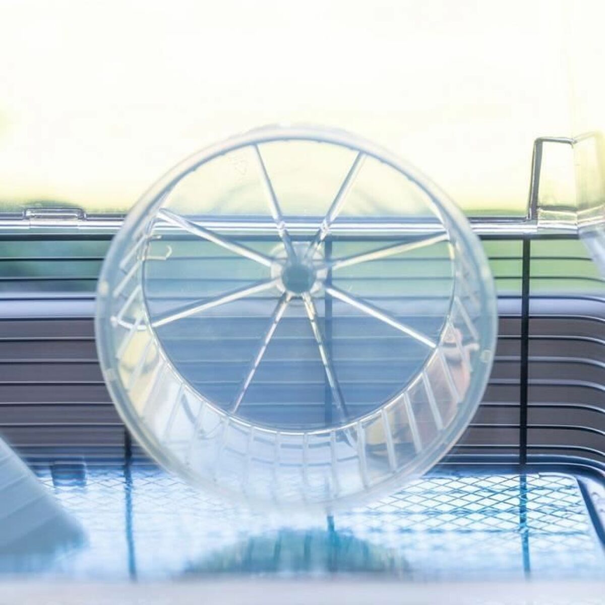 V3H1B15D0795597464CB2B8BE6C427DA79FR5780521P5