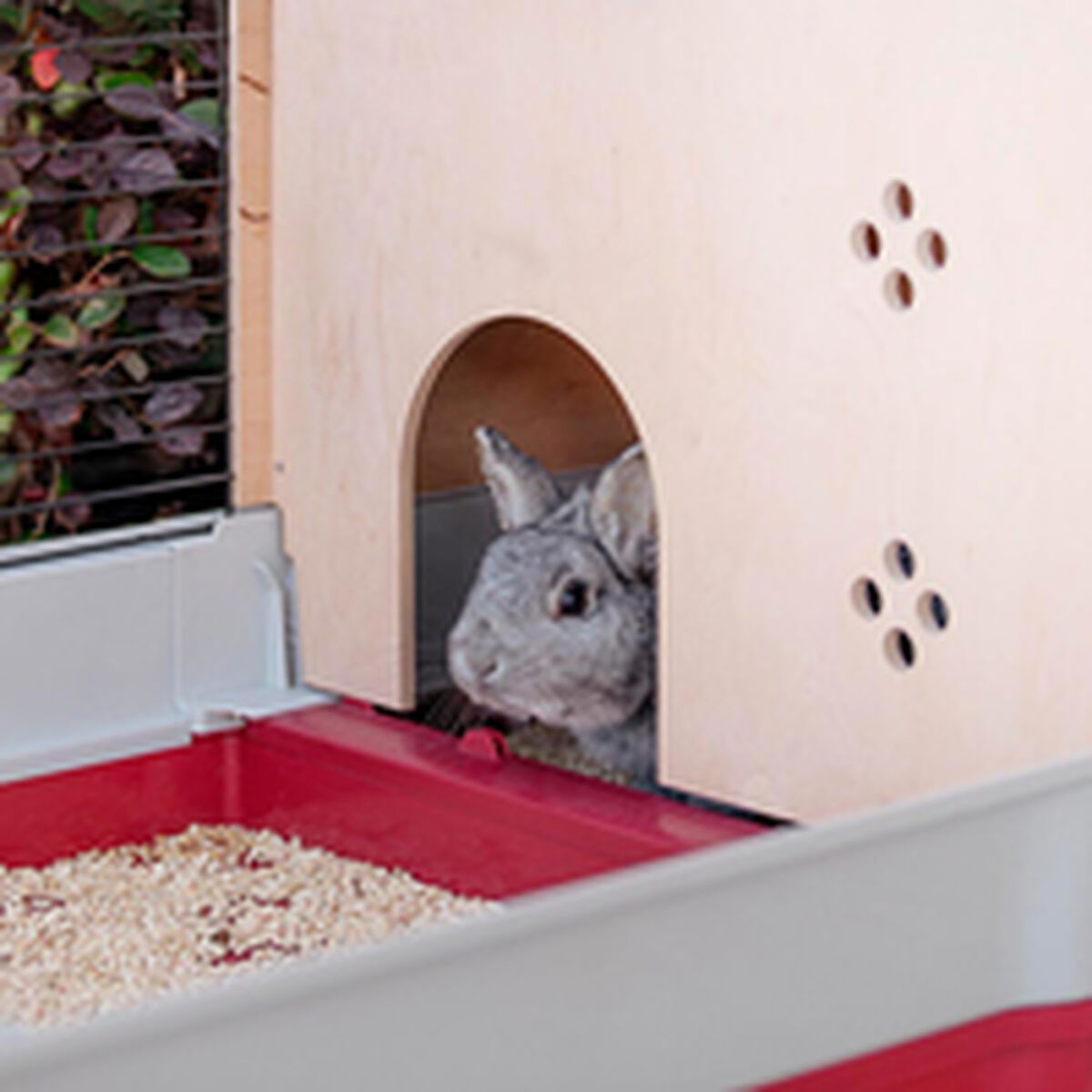 V9HF7C7A093245A8A1436EA03C2346EFD7AR6404047P10