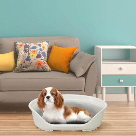 V4H77890D8FBD8776188F529387C8EC00B6R6237280P3