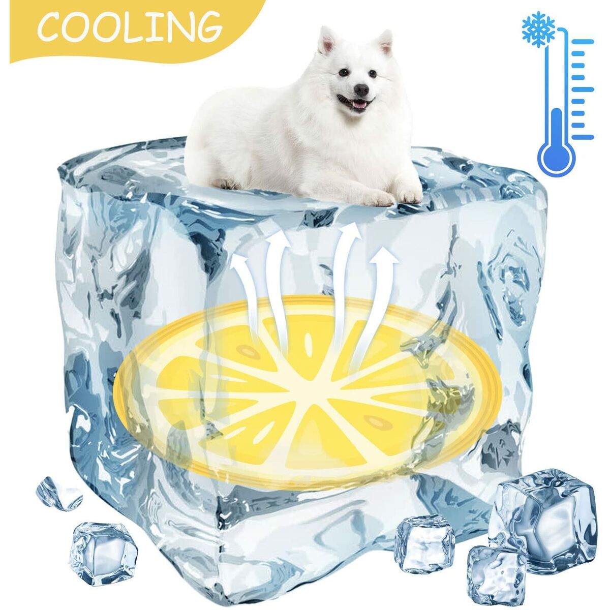 V4H441116792D228D24A9E606825647E116R7376883P7