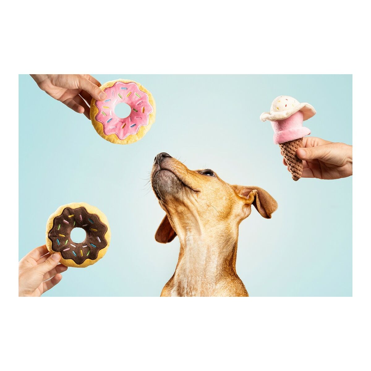 V12HB584A1025ACD3EE99FE7E659DE758007R5572663P2