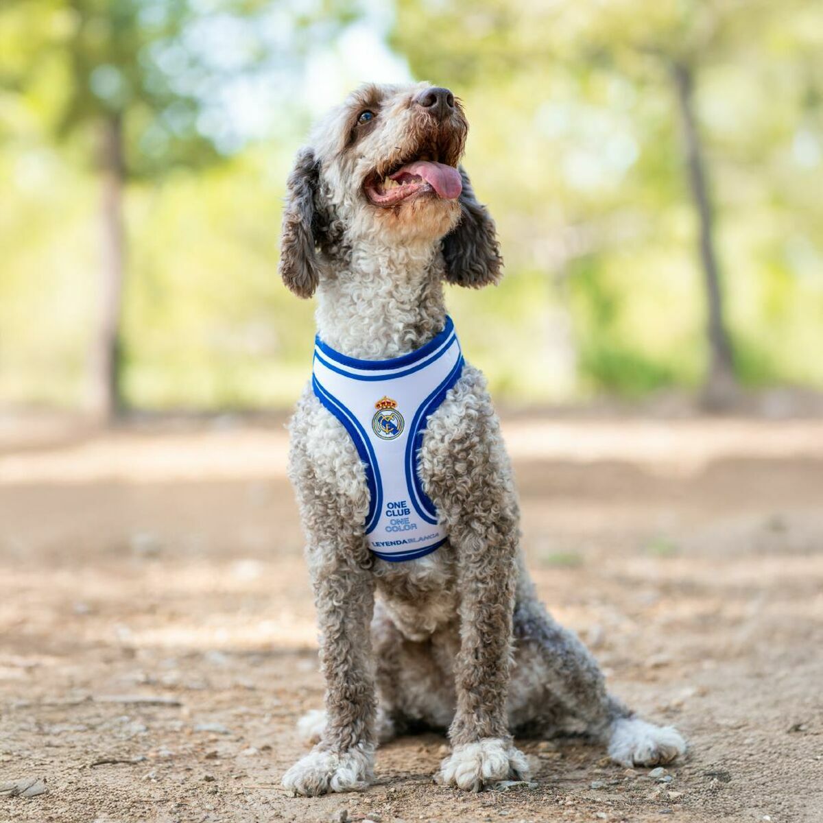 V4H7E1E28EB890B114155A40562F8793319R7186618P3