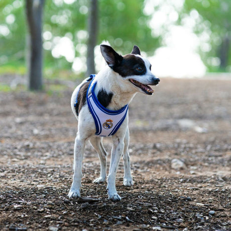 V2H4F8EBF4D4EEA76236892A04E9DC9515FR7186628P10