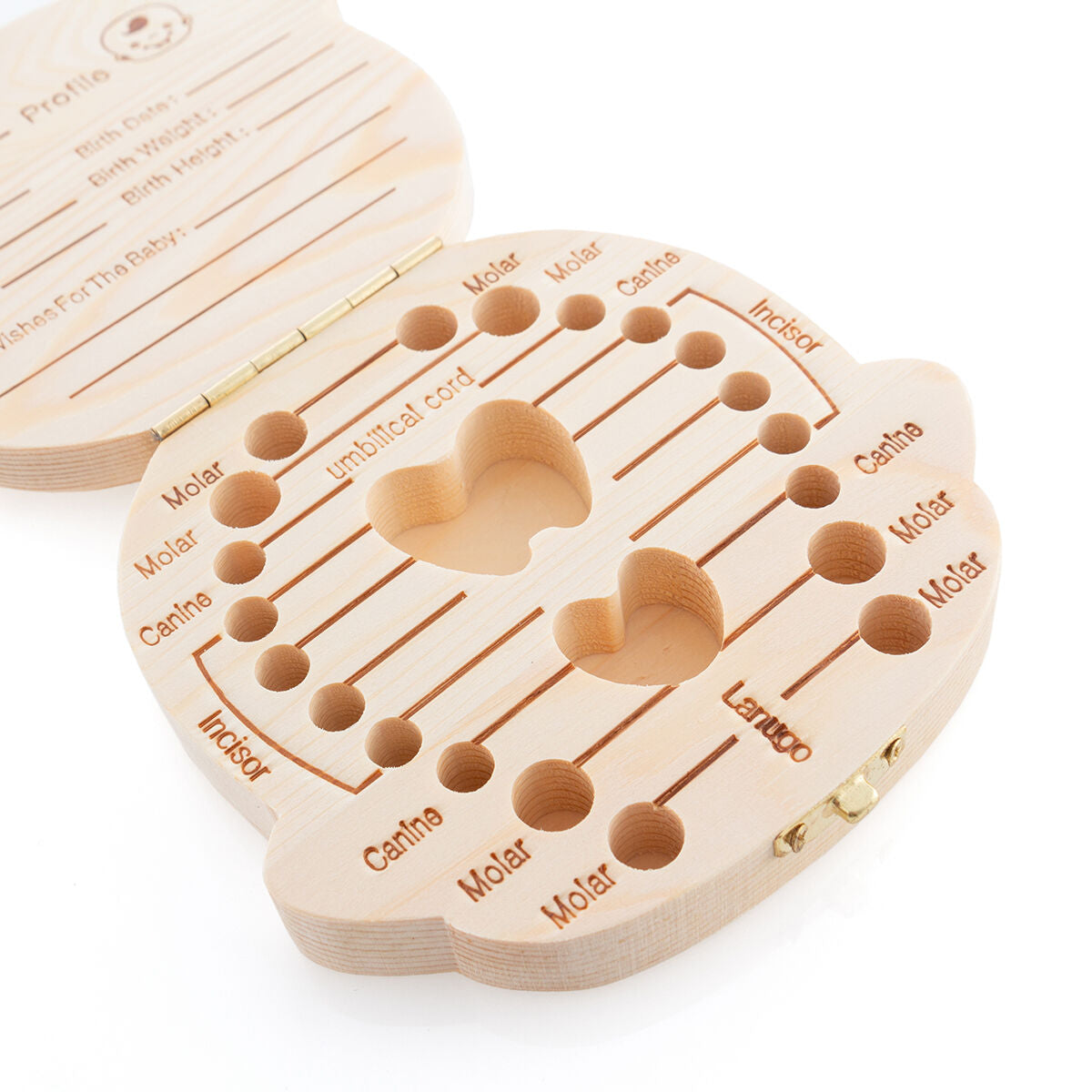 V15HB3E74AF0E2E5A1487505E024EB2065FAR5253354P7