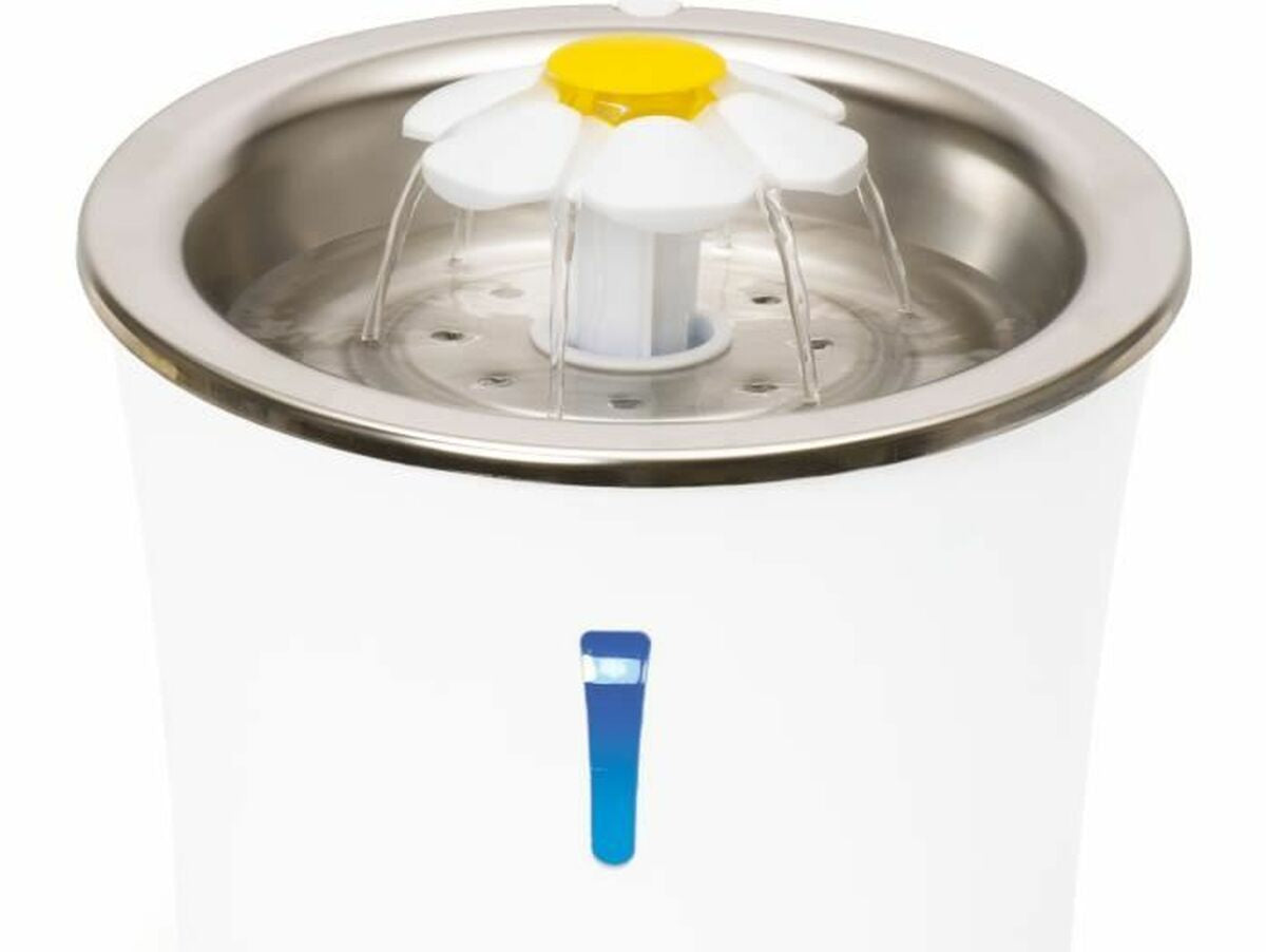 V5HBCA629CAF41011C5E87C01DA596C59B9R5779736P1