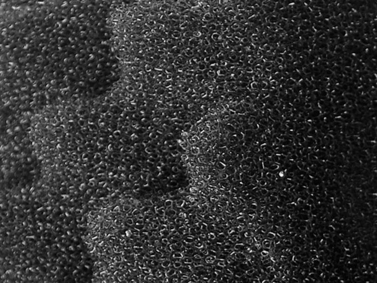 V5HB4CA5297F00E185DD6B61681D77B520FR6237395P3