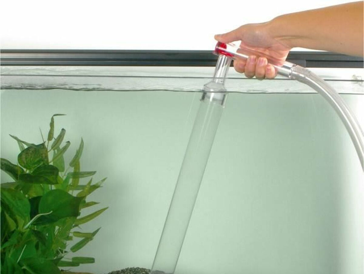 V4H3B01830F628DD7CBDE3DA1119A8A9576R7168016P2