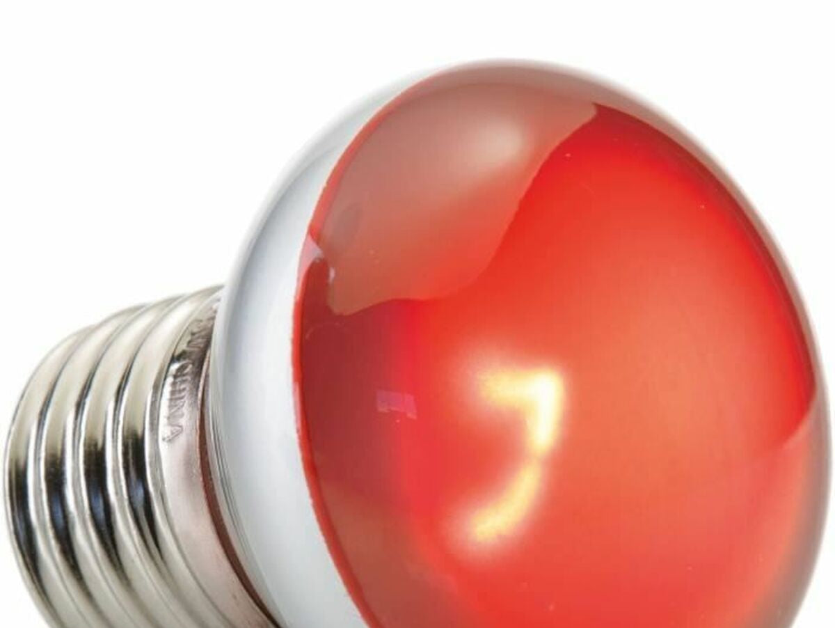 V4H5A3BE259F17B225FAE182518ED0EDDEBR7142620P2