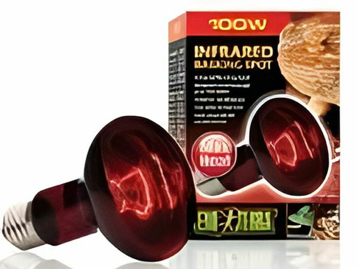 V5H44531F3A23A8BD0A3D4A3467AC897728R6847052P1