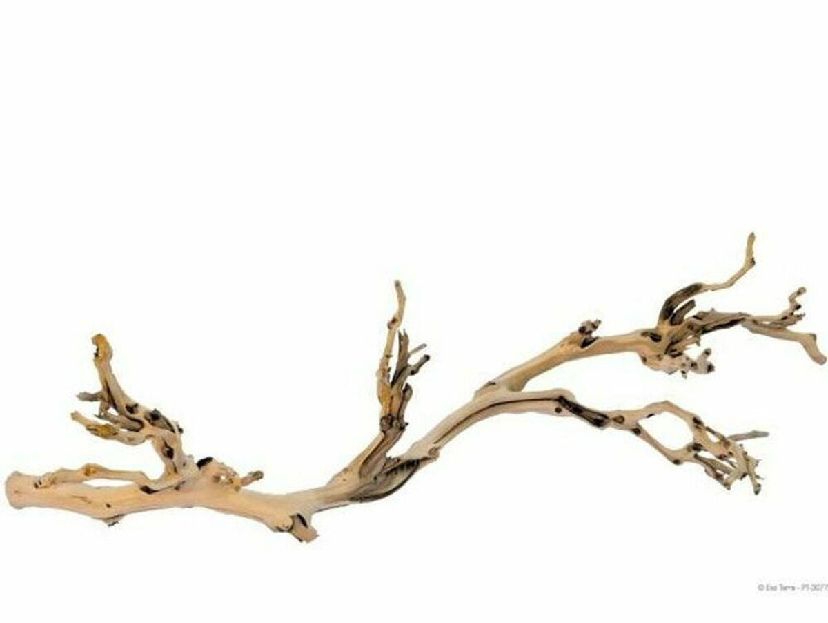 V7H747030830DB1868CCDF3B6A2B9CFF84AR4970528P1