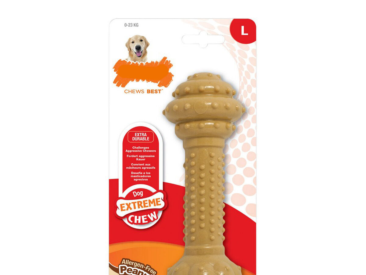 V8H0B62179862B3ECF375A33EA46C73A96FR5597737P1