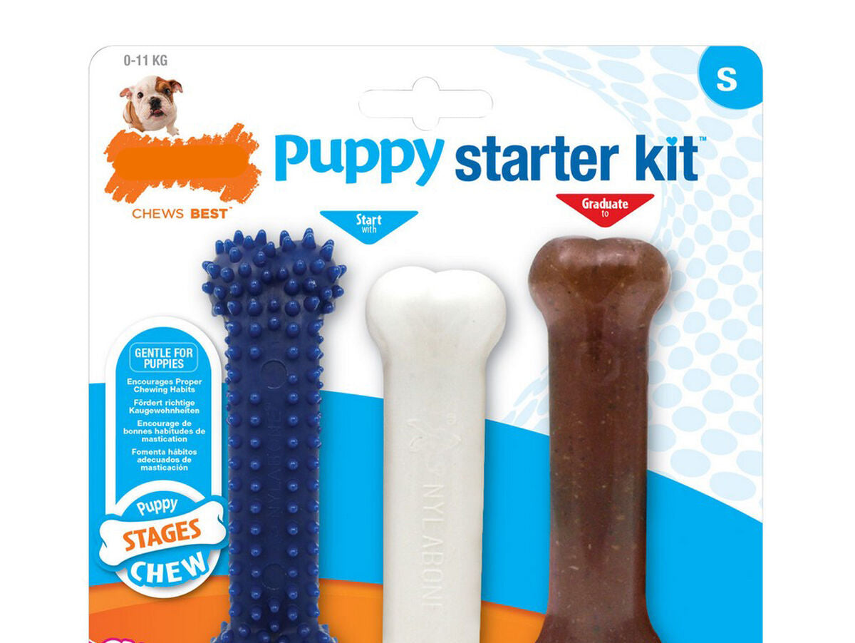 V10H4E0029789D846B8DE41C0C64D2ECCB07R5597900P1