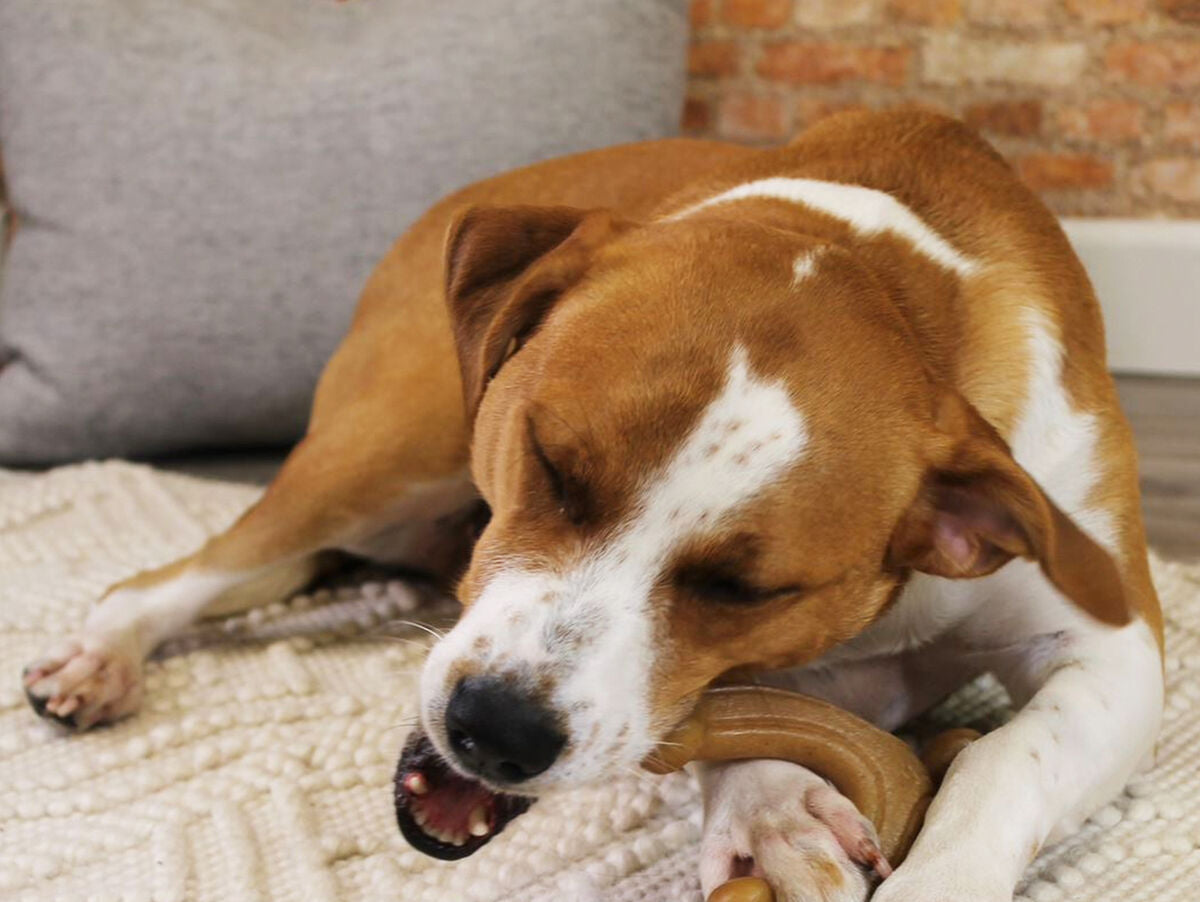 V9H57AC9A962E99CA179C729CFDAF07F543R6578021P3