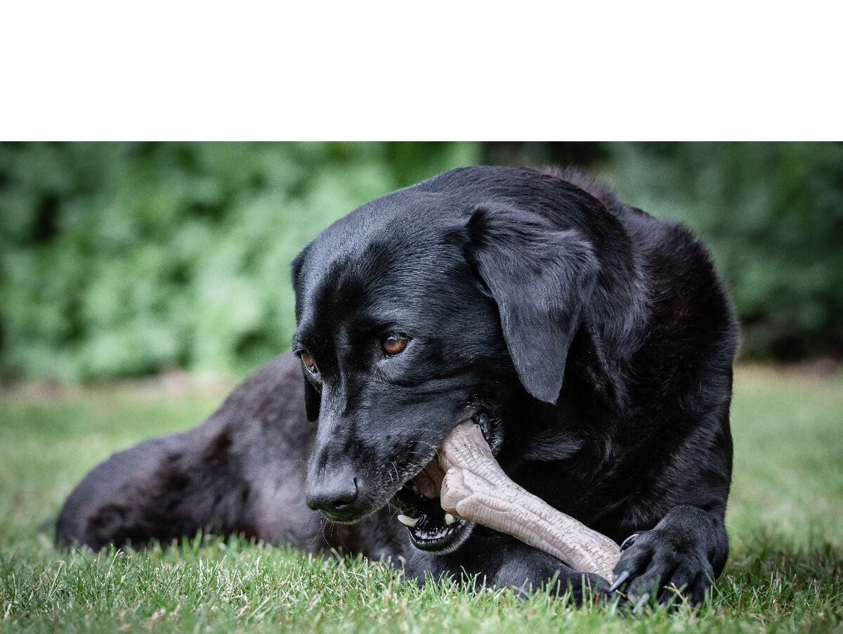 V6HC4D7CB8B9D082B9A9B85205B61B03751R5336337P2