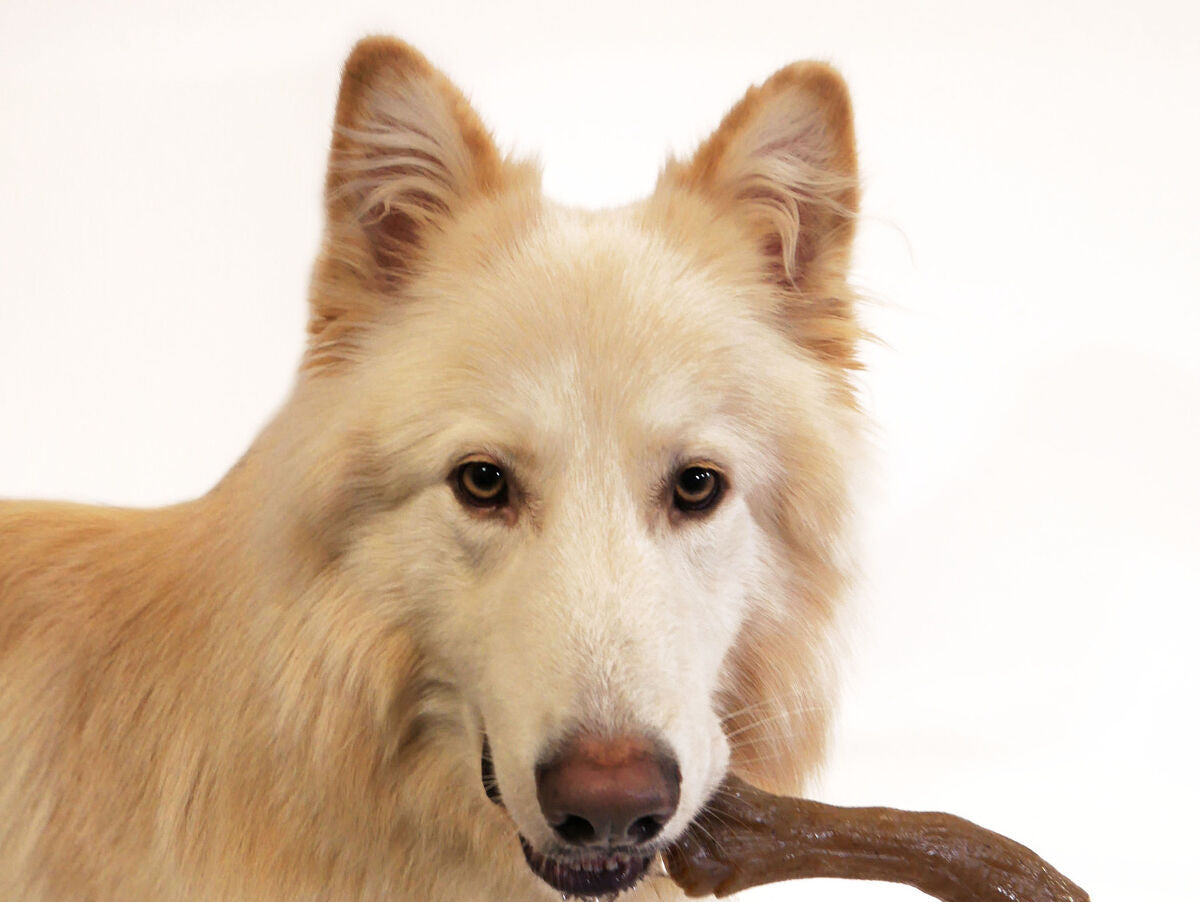 V6H464B422D07F901D26061DF00091ABF62R5336343P5