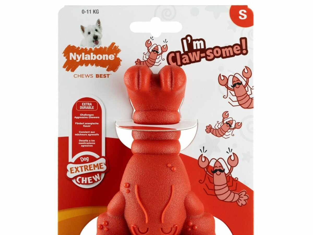 V8H7EFB743F7DA902D11F96FB1D651D38CBR6577941P1