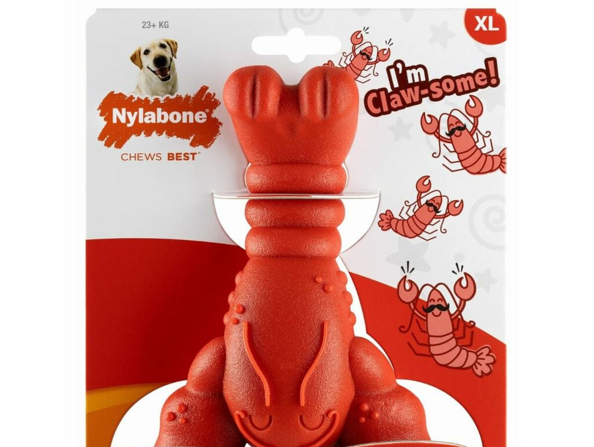 V6H0BB29F75CAEE4303A31139F5CA338EA3R5336279P2