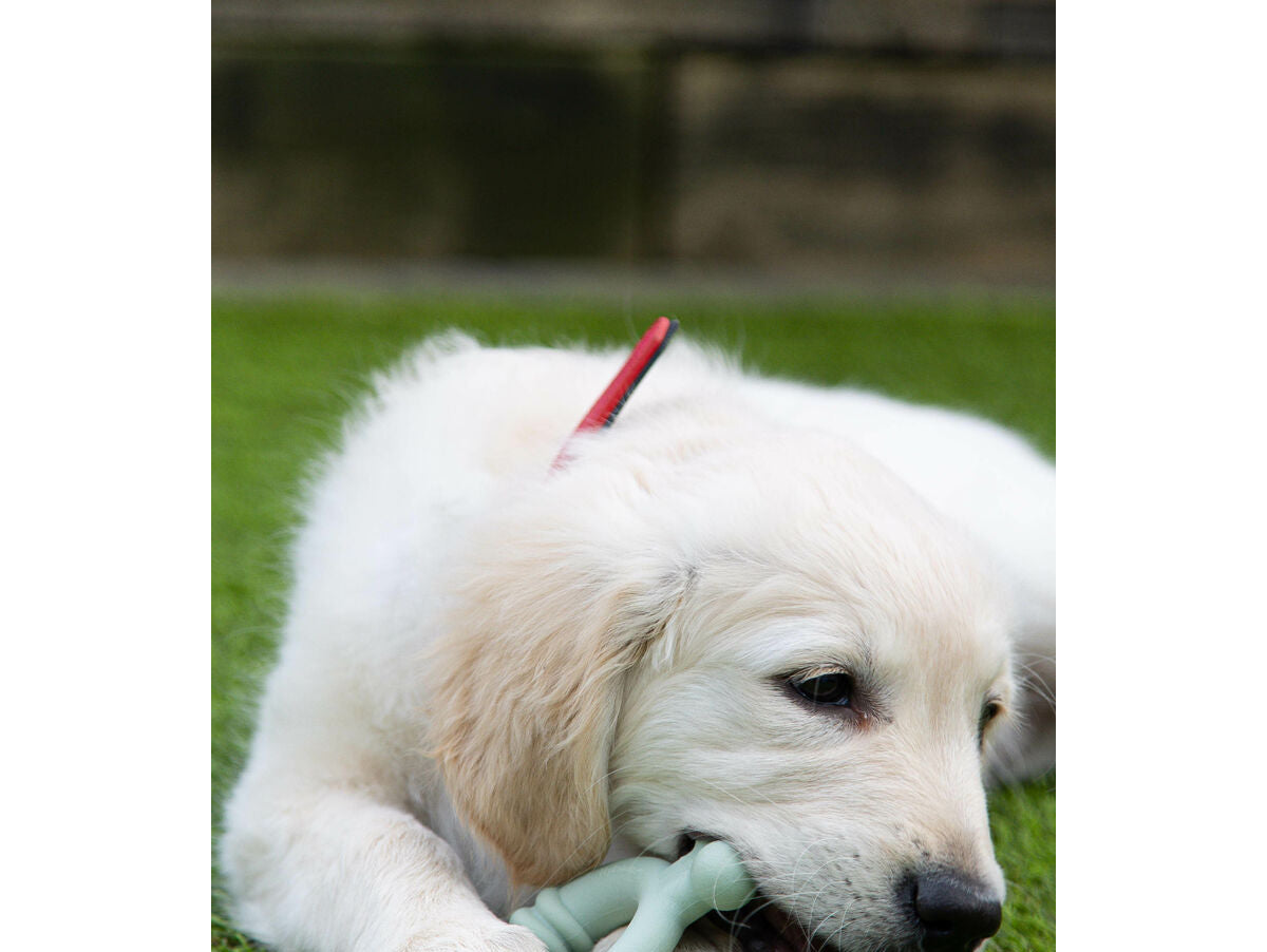 V5HF21901708D2D6E7E5E3555762800F8D2R5574725P5