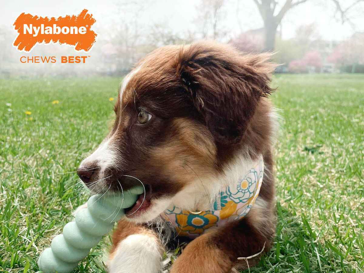 V5HFF3B8C423E4150D8ABBCB85264530784R5574715P4