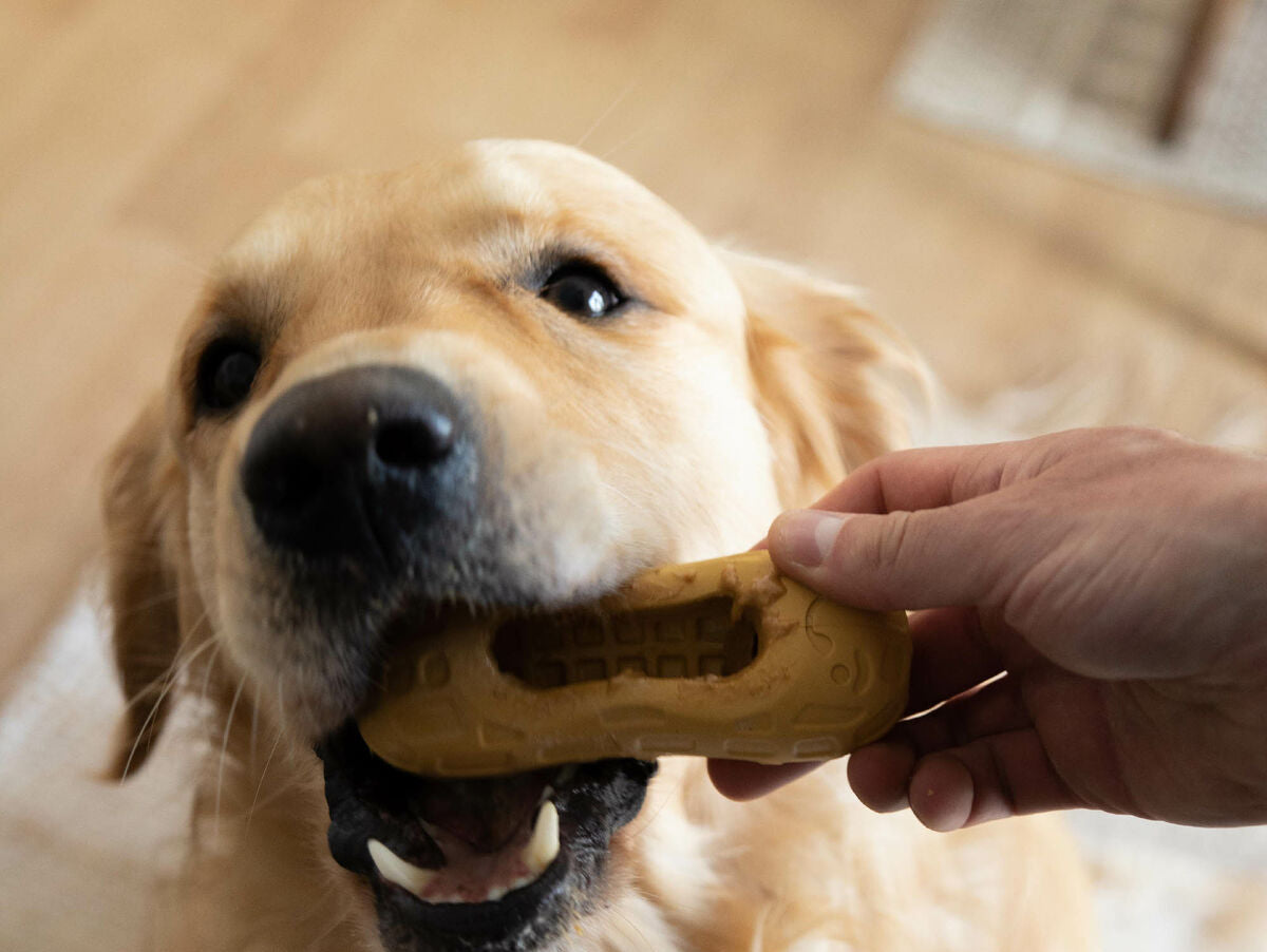 V5H87383F04608B2767E8936B985FD80DF9R5778894P3