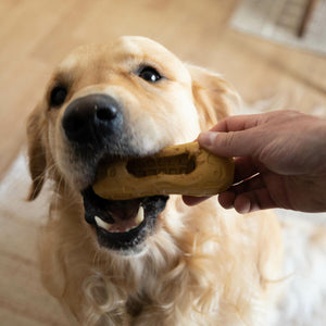 V5H87383F04608B2767E8936B985FD80DF9R5778894P3