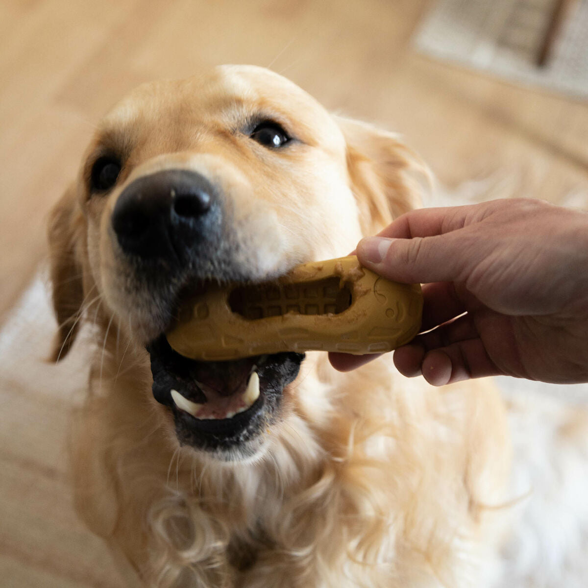 V3H87383F04608B2767E8936B985FD80DF9R5778894P3