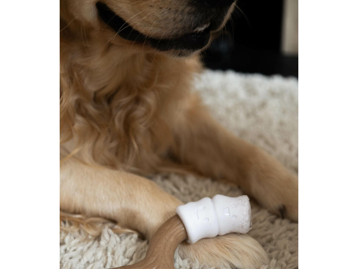 V5HAE0723F9C246D7F0C82B84F4C83FFFE1R5778903P2