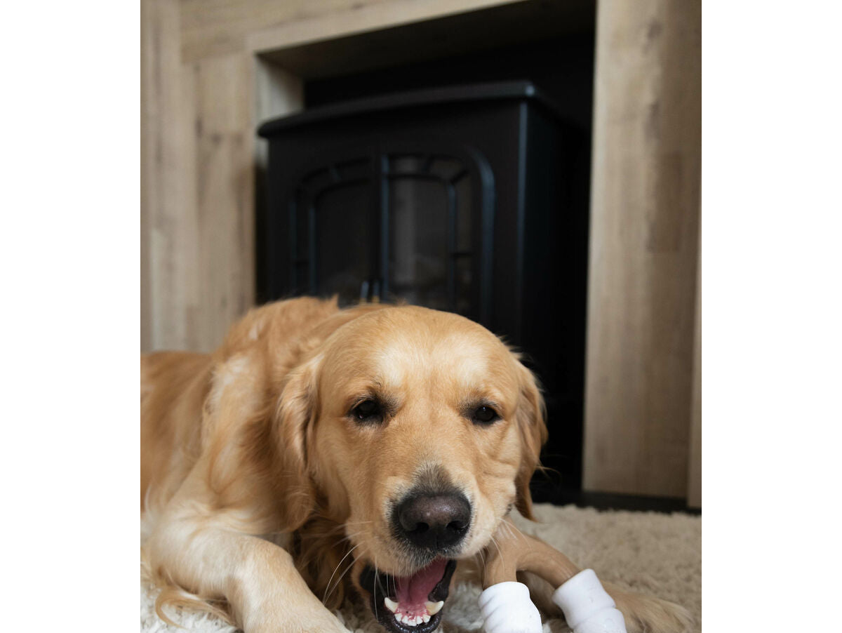 V5H1168FC2E47A1381B38DB7698EC2A5A9AR5778904P3