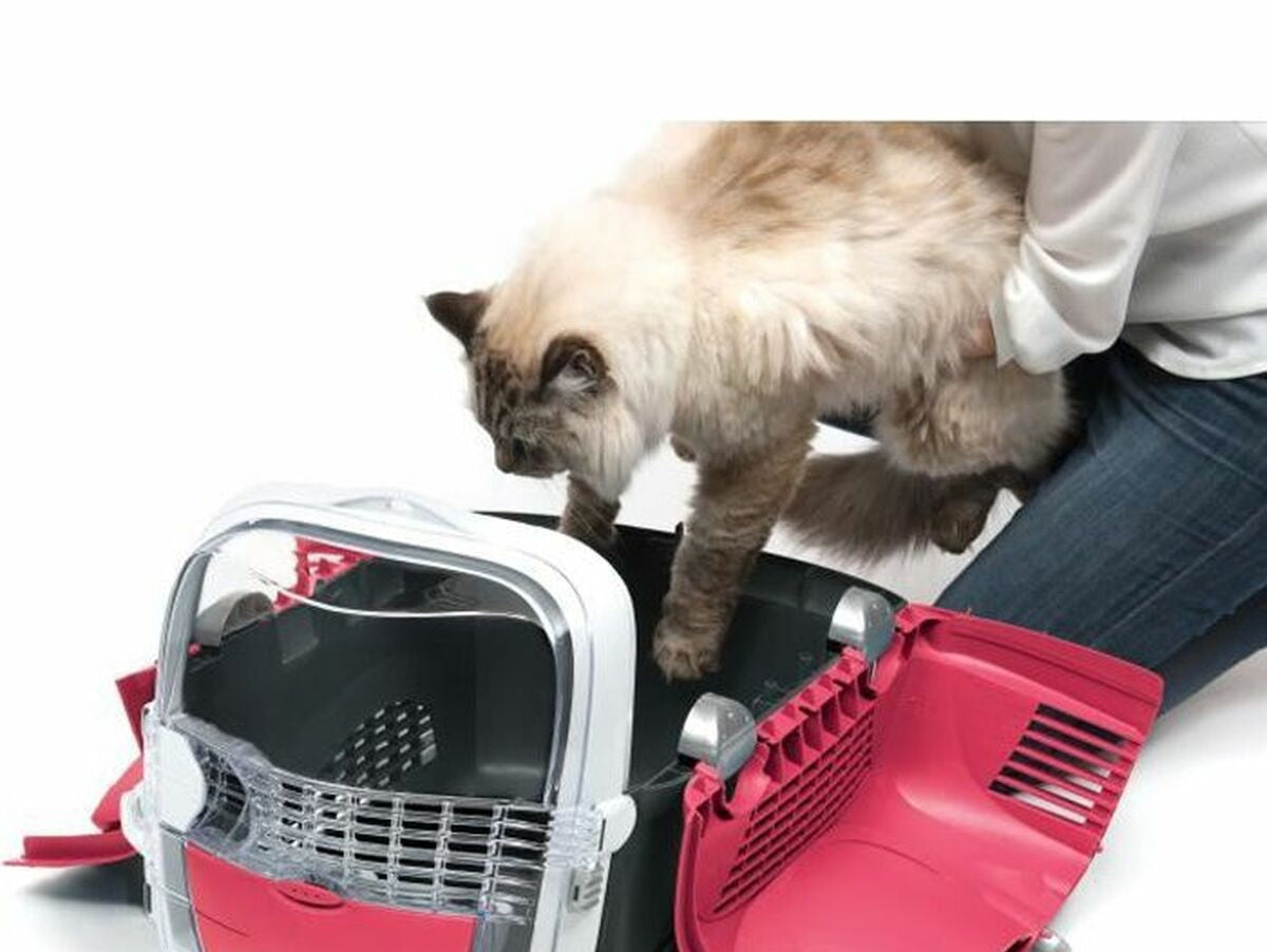 V5H9D7941627CBD0A29A3C2824158DA94E6R6670014P2