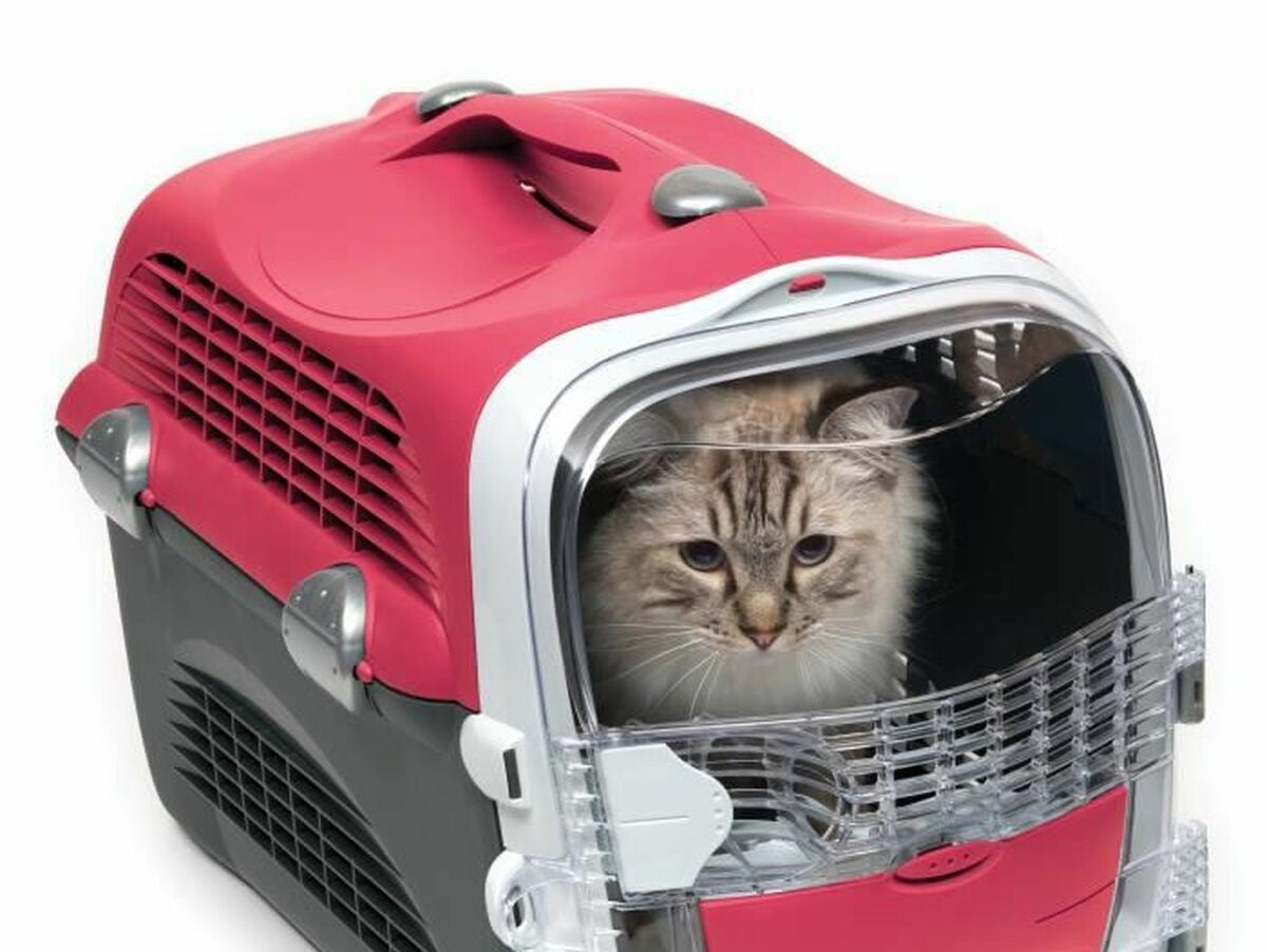 V5HB8E673FB2CE20E95746FFBBB9622B9FDR6670020P4