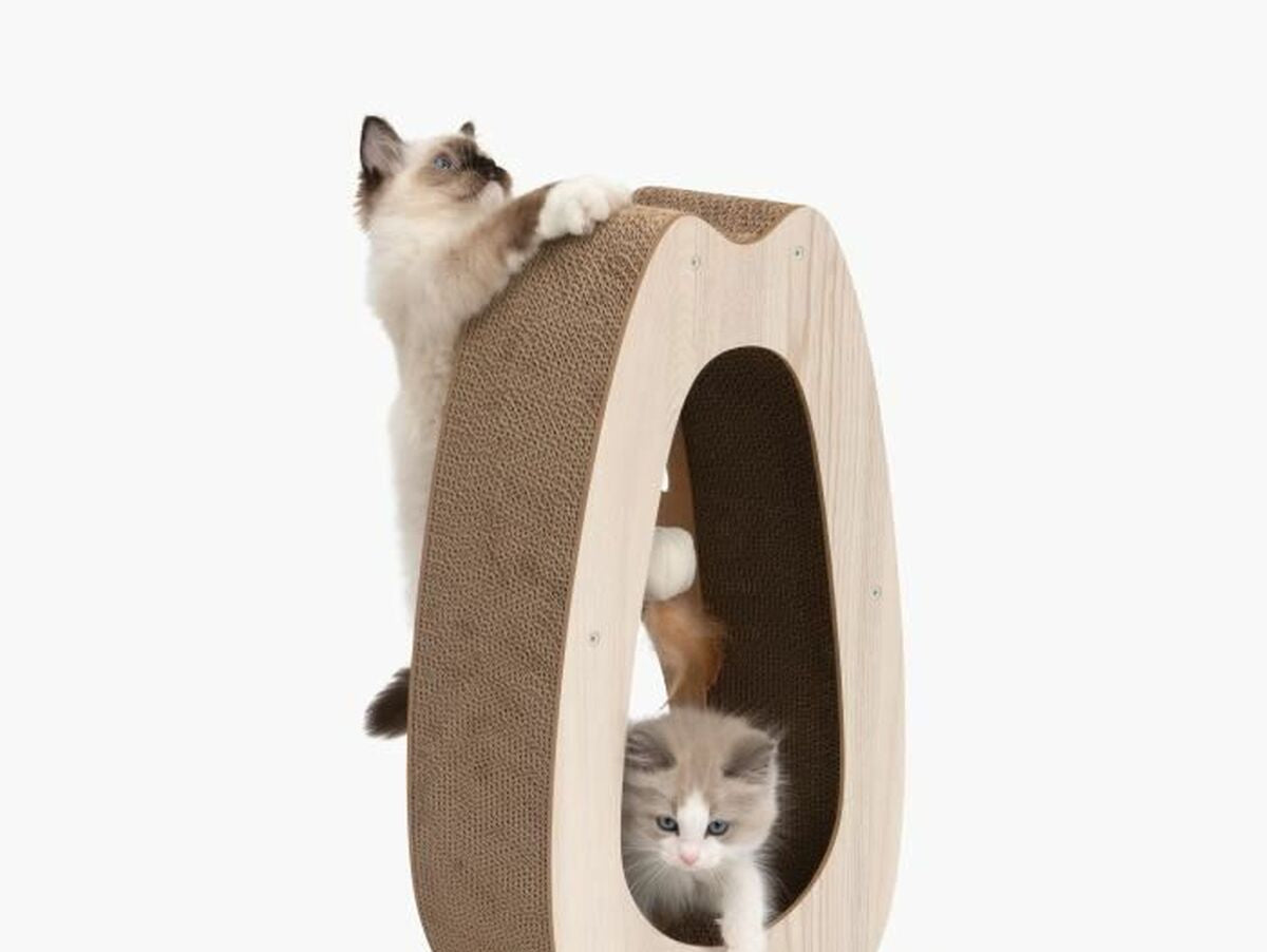 V5H1A7DCD3E39CF54B3F1199A6E7C04B916R5779848P2