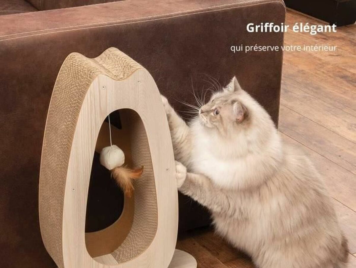 V5HEA460C2E41FA5652BA28E1AF5D6ED54ER5779850P3