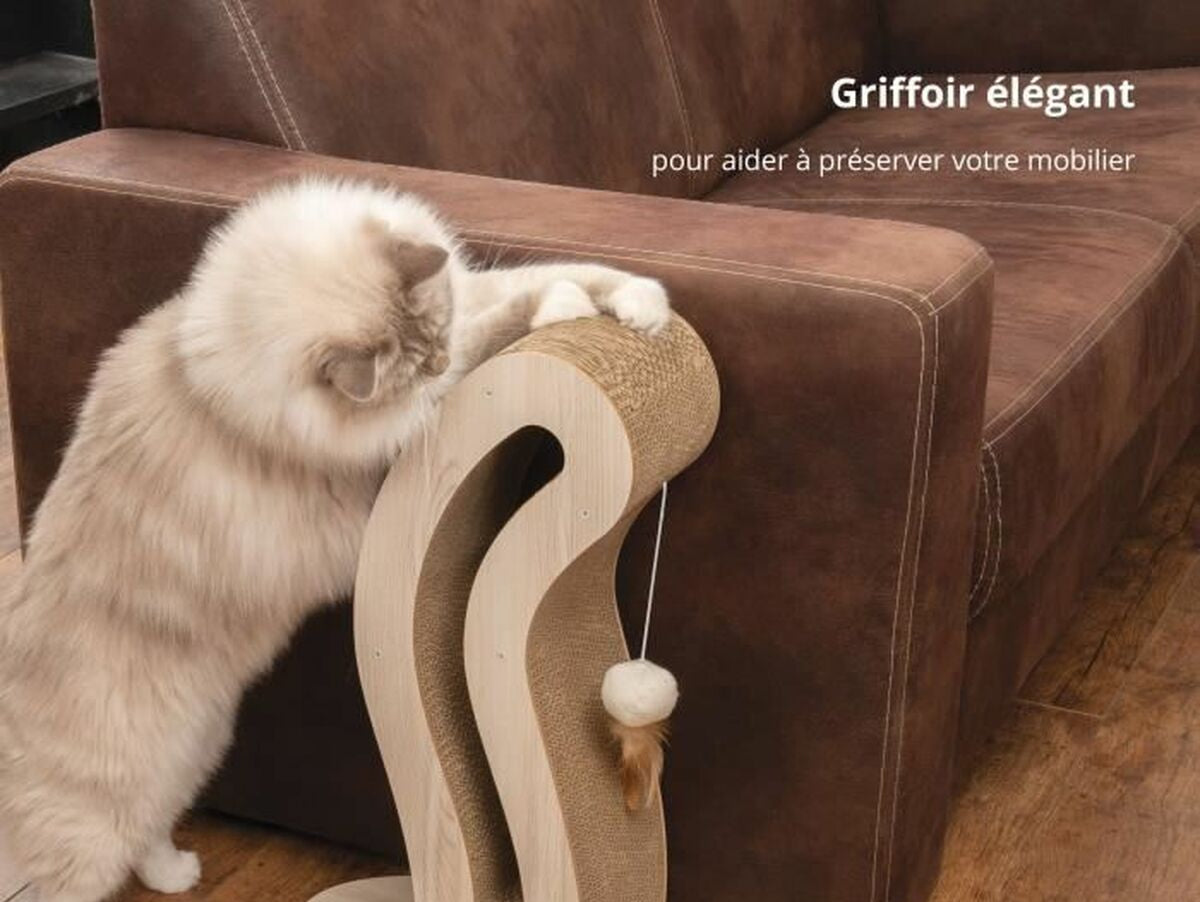 V5H1CAEC67F4FF66977A378ABD2A006384DR5779981P2