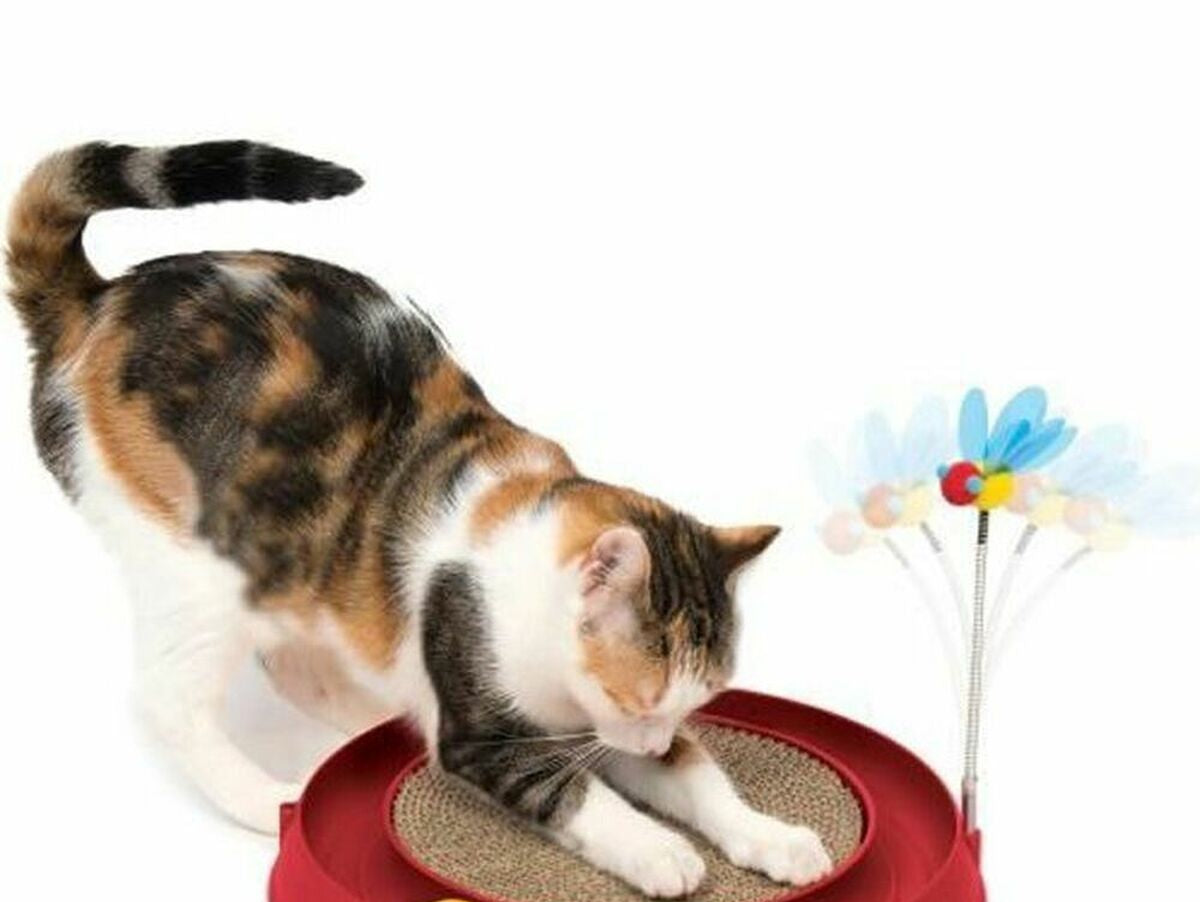 V9H51AB4167053D1329FD214CFC5319B5AER6846194P2