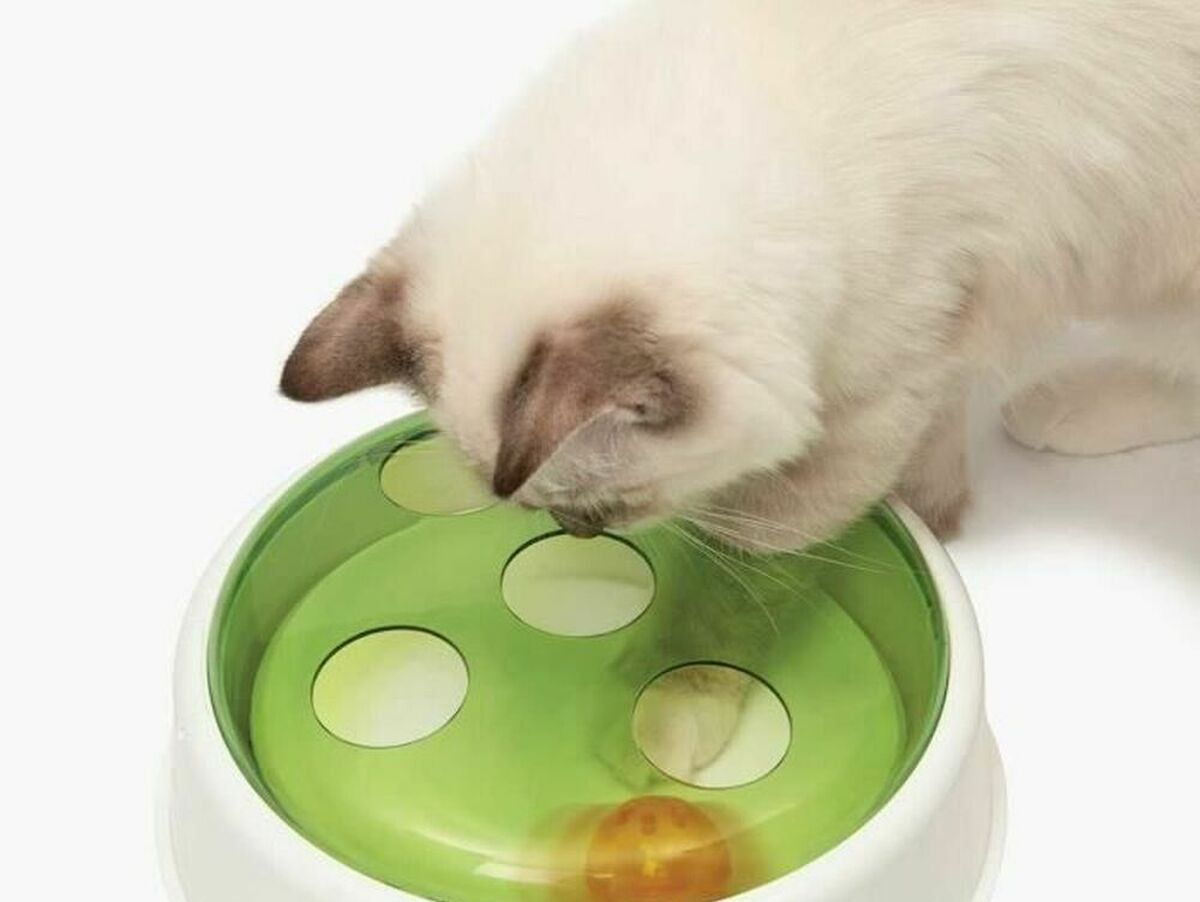 V3H4B6C625645D25B3B84C2C7C1B675661BR6705932P4