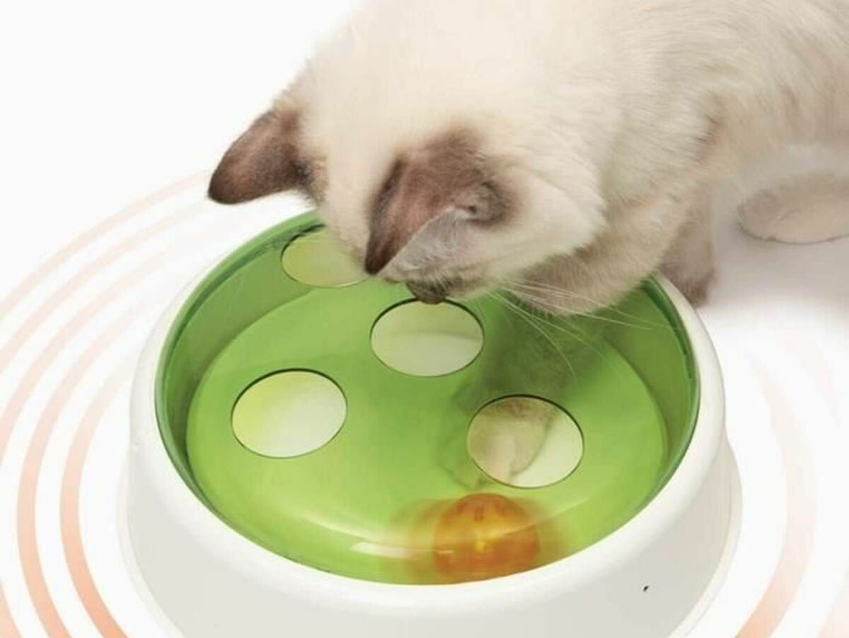 V3H67632216D7838387DCC72F26623293D1R6705922P2