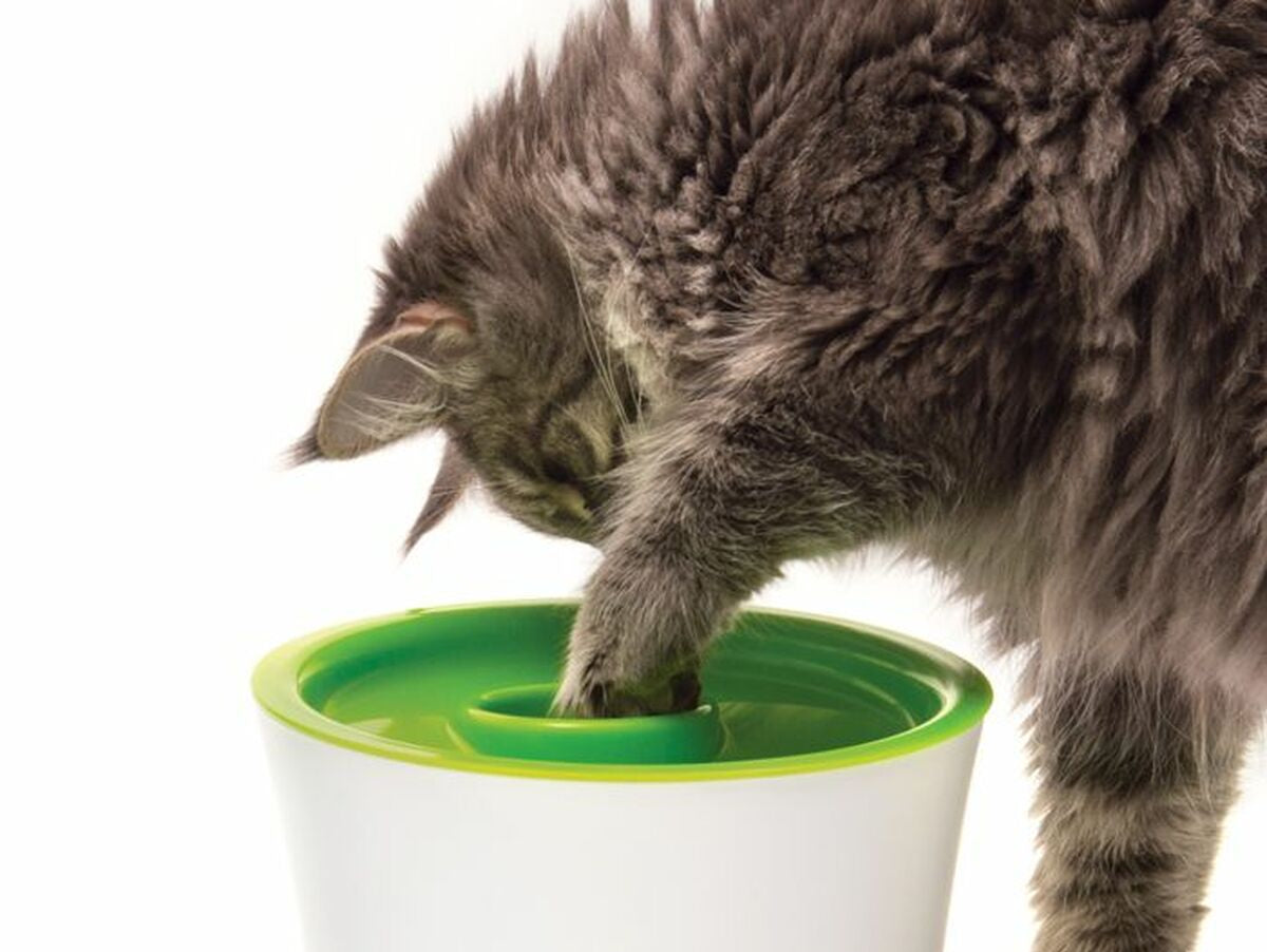 V5H4D794DF511ABDD23F5FBD1DEEDF5566AR6658436P2