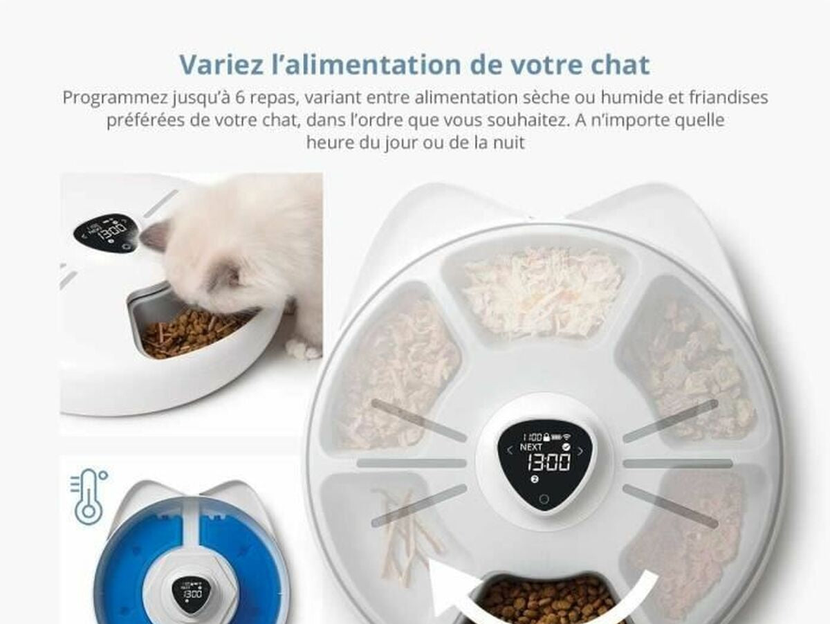 V4HCEBD9AD9BEDEEFB21761238D9C20A53AR7140664P2