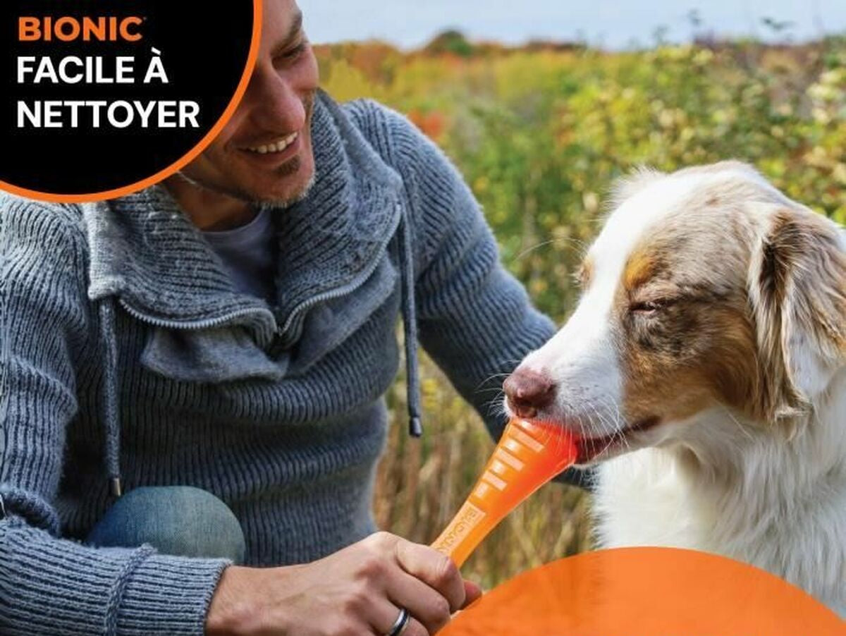 V4HCC0AB68379E1DFCF2B4F2D303EFCE53BR6702089P3