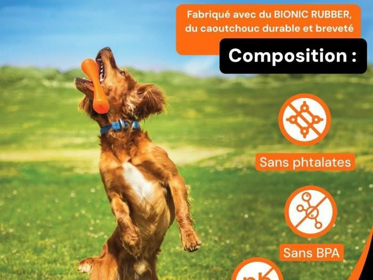 V4H9C9D67F5C41E70496B1AC436CB6B1A5CR6702091P4